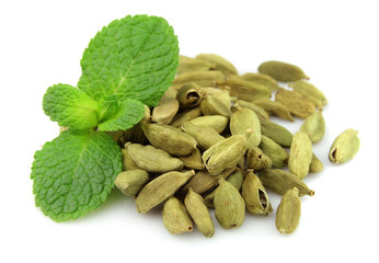 cardamom with fresh mint