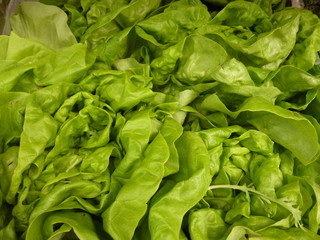 Head of a lettuce in a box