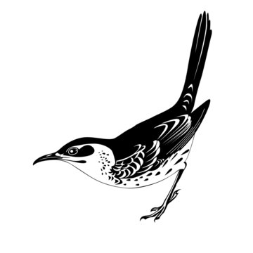 black and white bird profile clip art preview