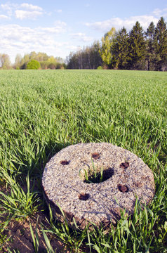 historical millstone in the crop field