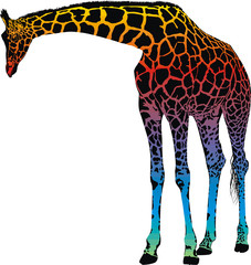 Naklejki  żyrafa - wektor streszczenie tęcza