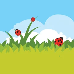 Poster lieveheersbeestjes op groen gras © Oksana