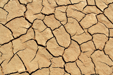 Soil detail of a dry pan, in the Sossusvlei sand dunes, Namib de