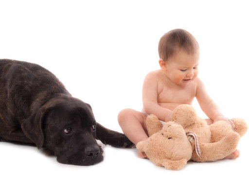 Chien De Race Cane Corso Et Bebe De 10 Mois Stock Photo Adobe Stock