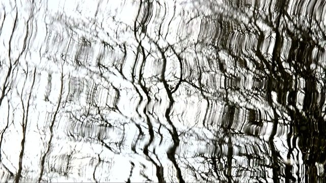 Rio arboles reflejo