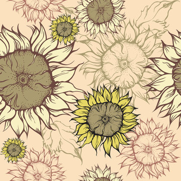 Seamless pattern - field of sunflowers