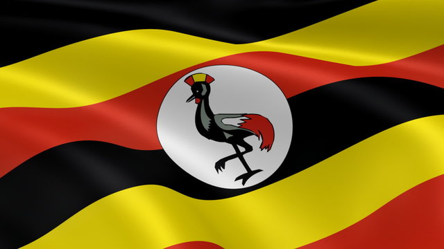 Ugandan flag in the wind