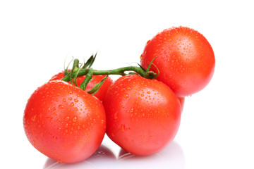 Ripe red tomatoes isolated on white
