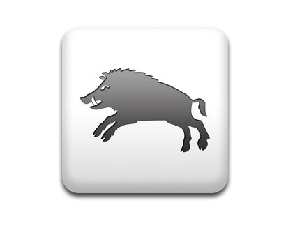Boton cuadrado blanco jabali heraldico