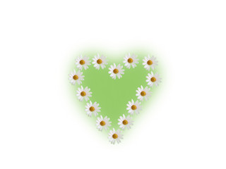 Herz aus Margeriten auf weißem Hintergrund mit grünem Herz Hinte