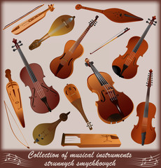 Collection of musical instruments strunnych smychkovych