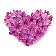 Fototapeta na wymiar Heart from flowers of a lilac.
