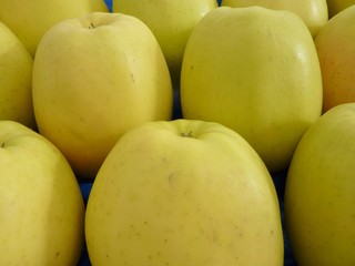 Fresh yellow apples