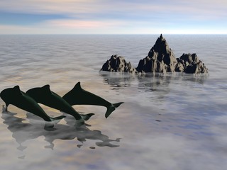 delfini © Luisa Masala