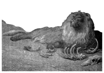 Lion Repu