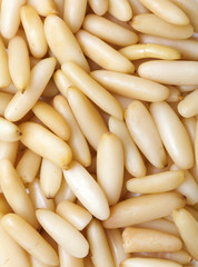 pine nuts backrgound
