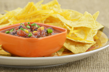 Salsa and tortilla chips