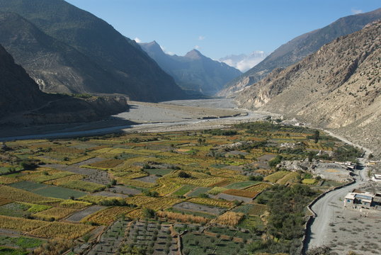 Fields of Kali Gandaki