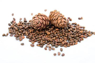 Siberian pine nuts and needles branch on white background