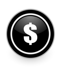 dollar icon