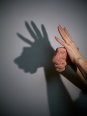 silhouette shadow of animal