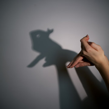 silhouette shadow of rabbit