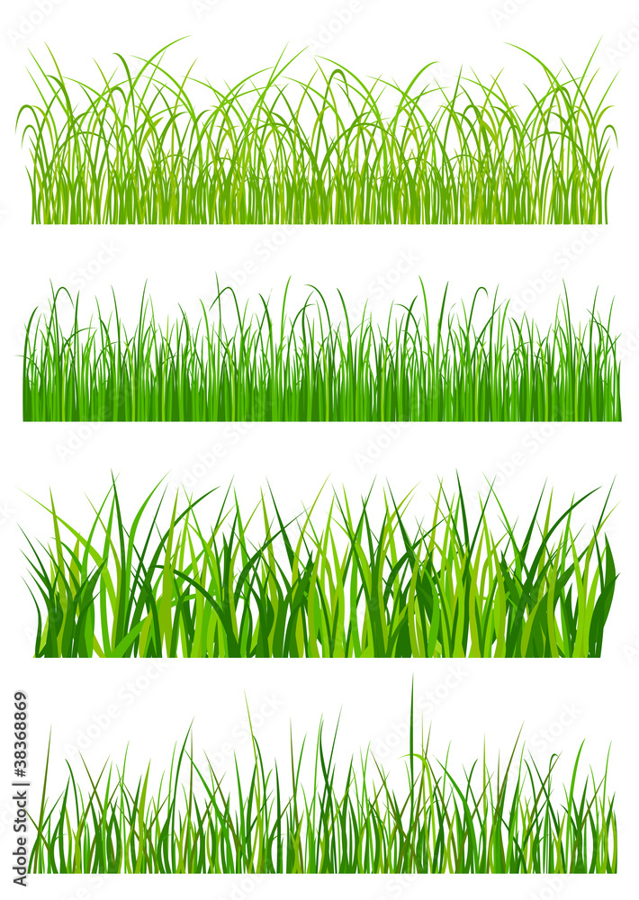 Poster green grass elements and patterns