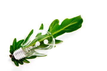 Light bulb and leaf