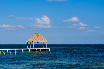 Palapa Hut and Dock on the Ocean