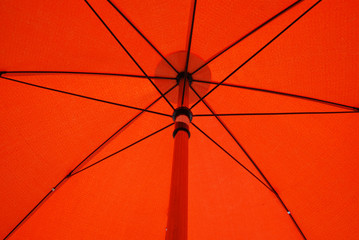 Under the Red Umbrella