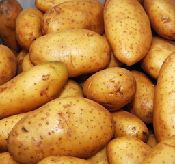 Potato at a market