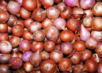 Onions at the market