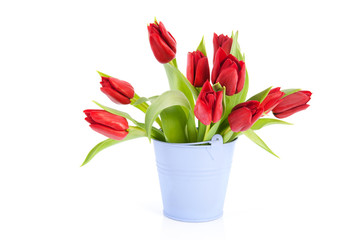 Red tulips