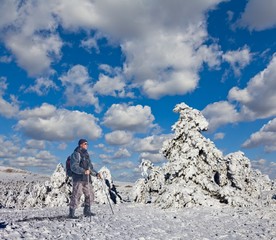 hiker in a winter forest