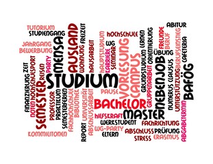 Pinke Wortwolke zum Thema Studium