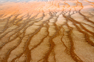 Steam from Grand Prismatic Spring