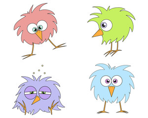 funny birds
