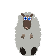 Cute interested sheep isolated on white