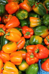 Obraz na płótnie Canvas Fresh peppers