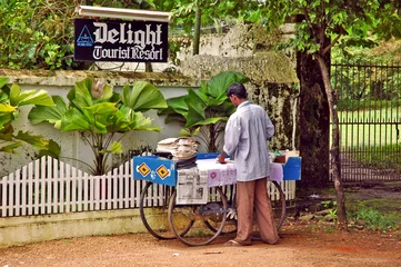 Stoff pro Meter Cochin, Kerala - Indien, die Bügelmaschine © lamio
