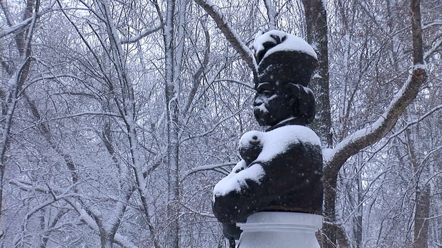 Hetman bust in the snow