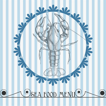 Sea food vector menu lobster drawing