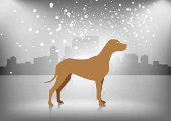 Rolgordijnen Honden Hond in winterstad