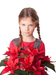 Red flowers