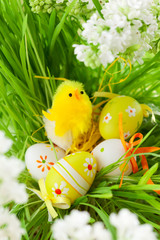 Easter chick and    eggs