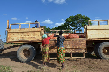 contadine africane
