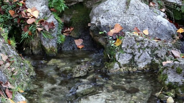 Small Spring