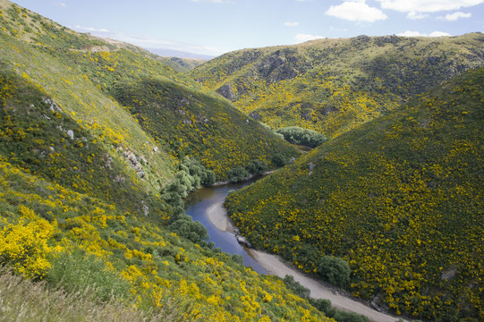 Hills landscape with a river in New Zealand
