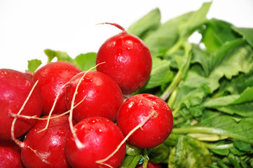 Red radish