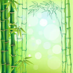Fototapeta na wymiar Bambus tle